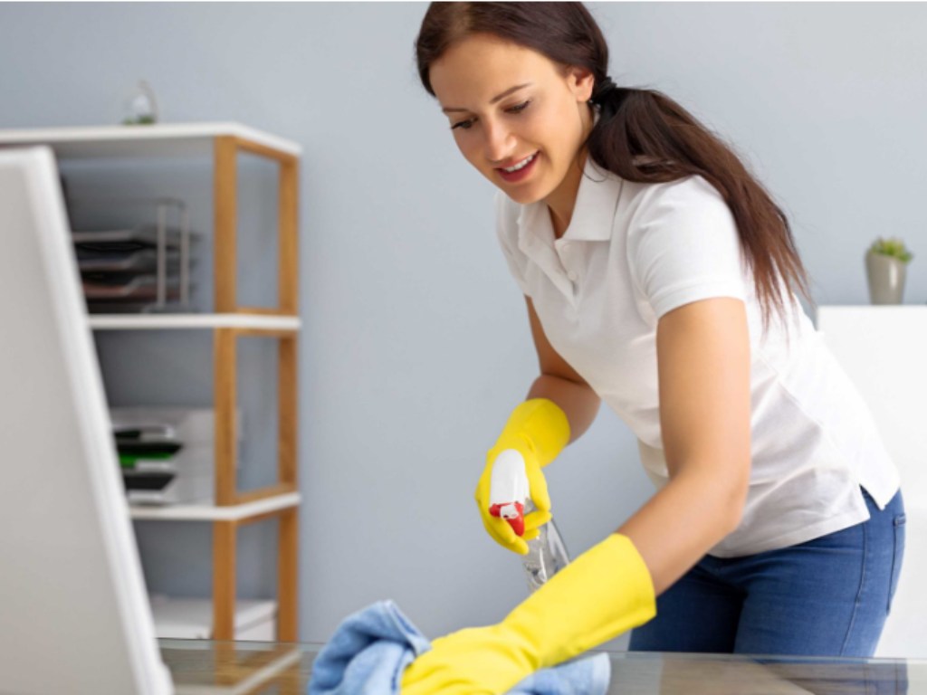 Professional+dusting+services
