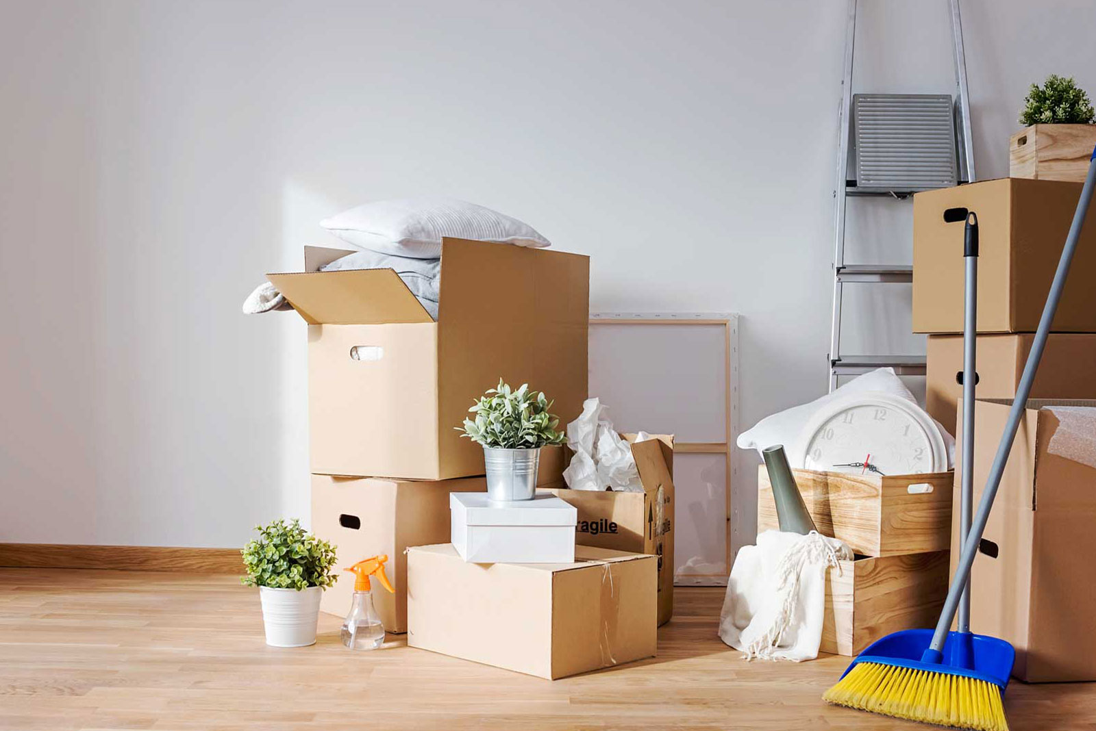 Move in move out cleaning